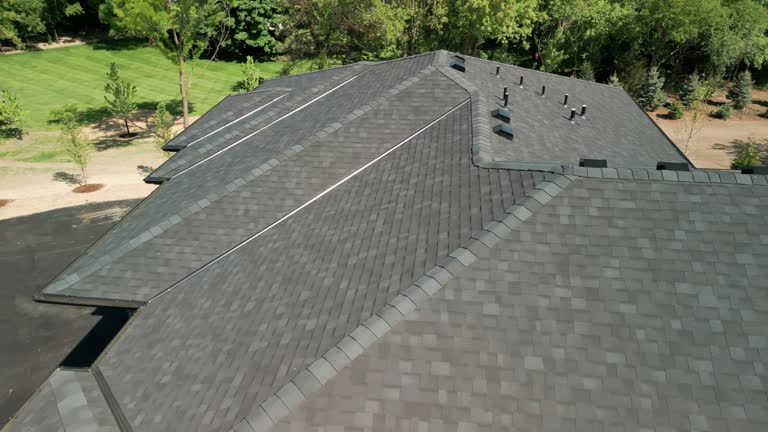 Best Roof Moss and Algae Removal  in USA